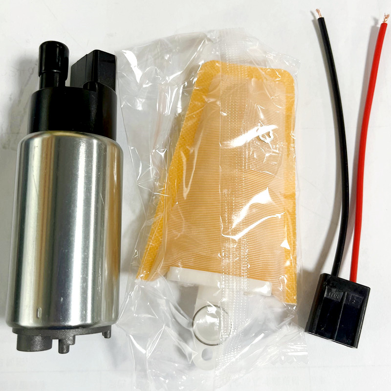 FP011 Automotive fuel pump E2069 fuel pump